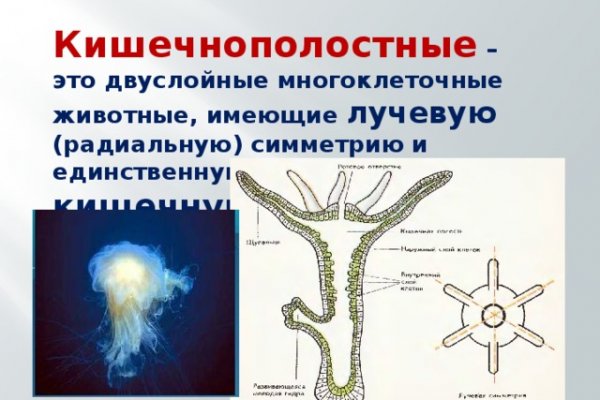 Только через тор кракен