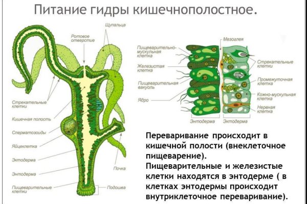 Кракен лучший маркетплейс