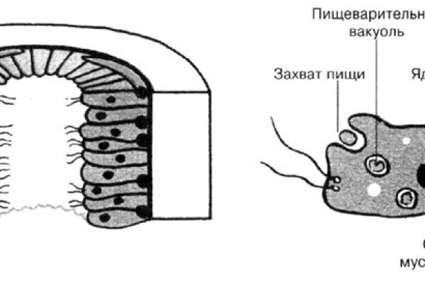 Даркнет ссылка