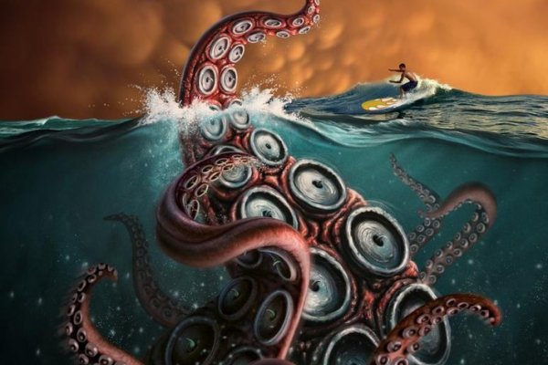 Kraken online