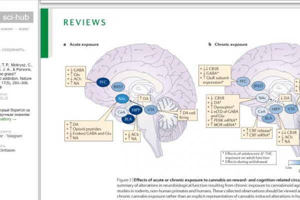 Сайт kraken в tor